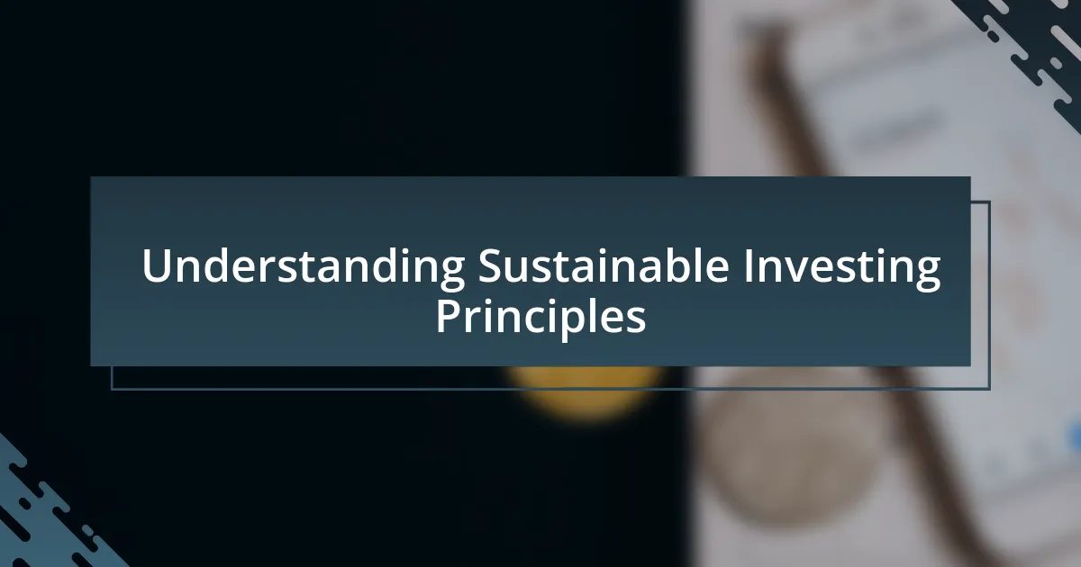 Understanding Sustainable Investing Principles