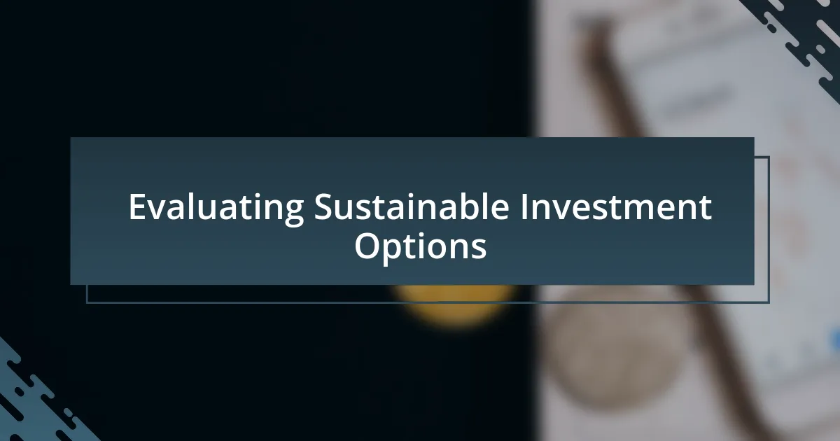 Evaluating Sustainable Investment Options