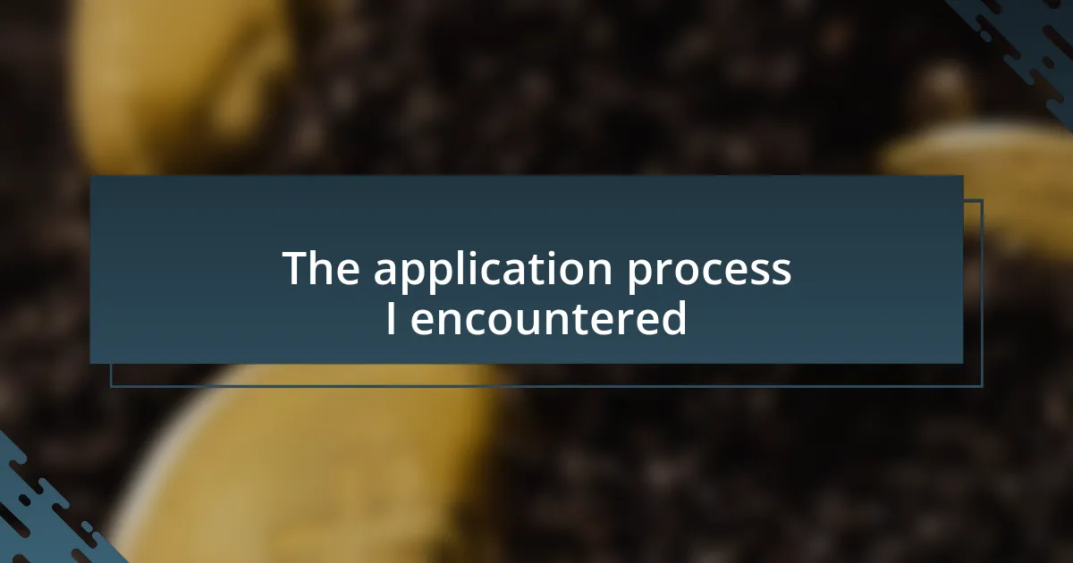 The application process I encountered