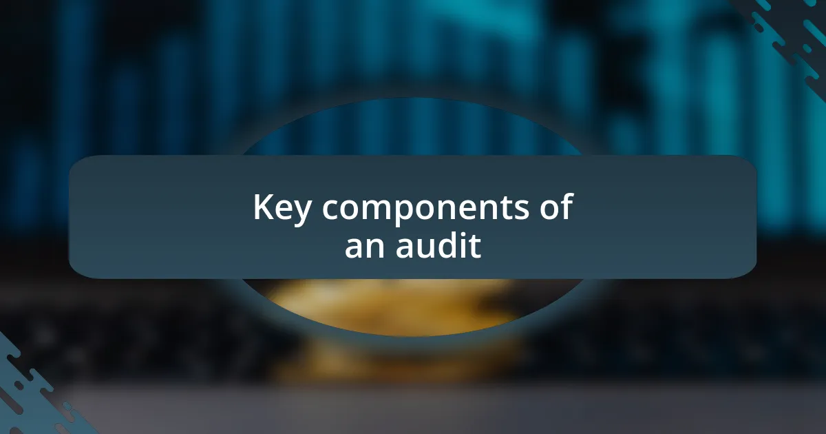 Key components of an audit