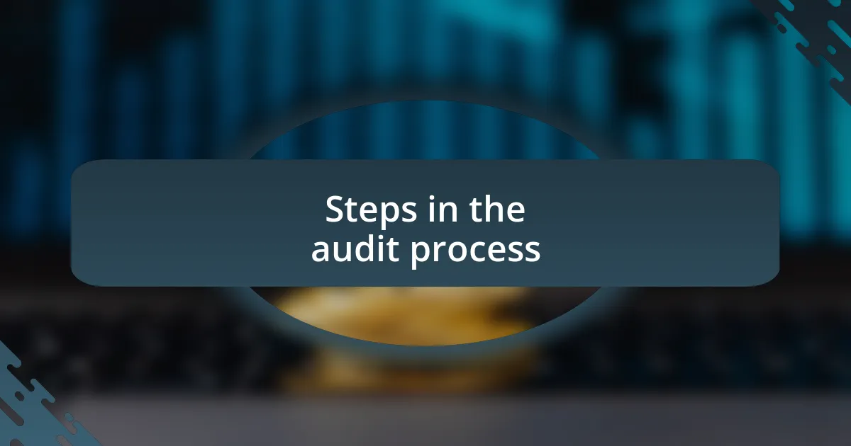 Steps in the audit process